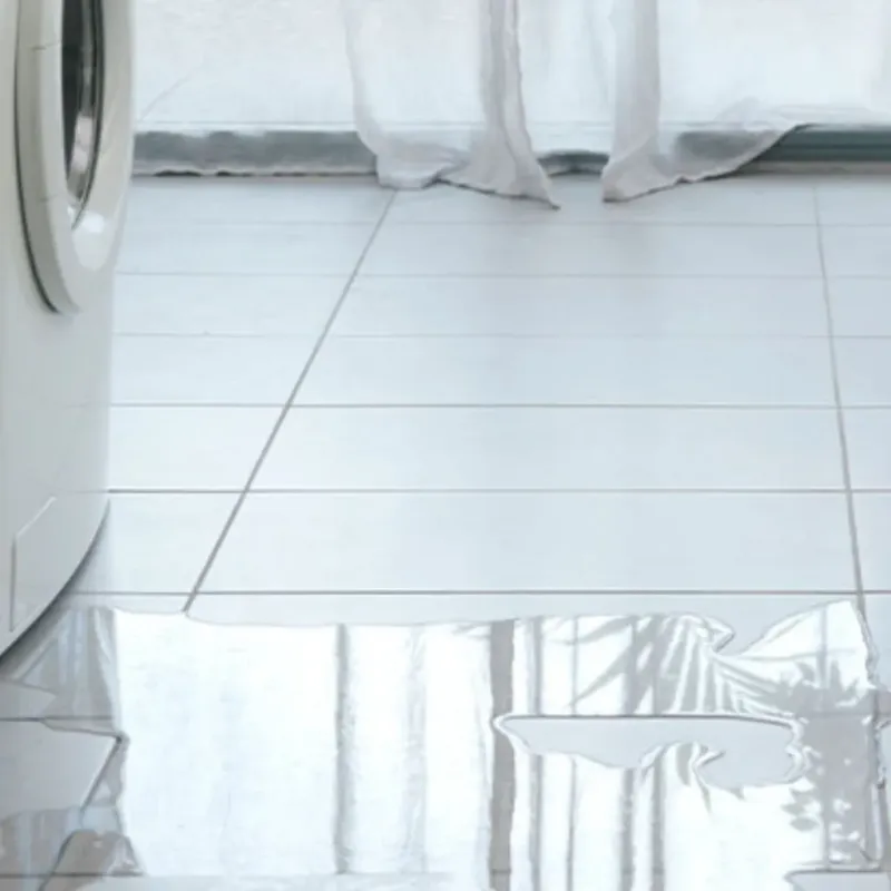 Appliance Leak Cleanup in Concord, AL