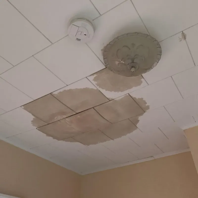 Ceiling Water Damage Repair in Concord, AL