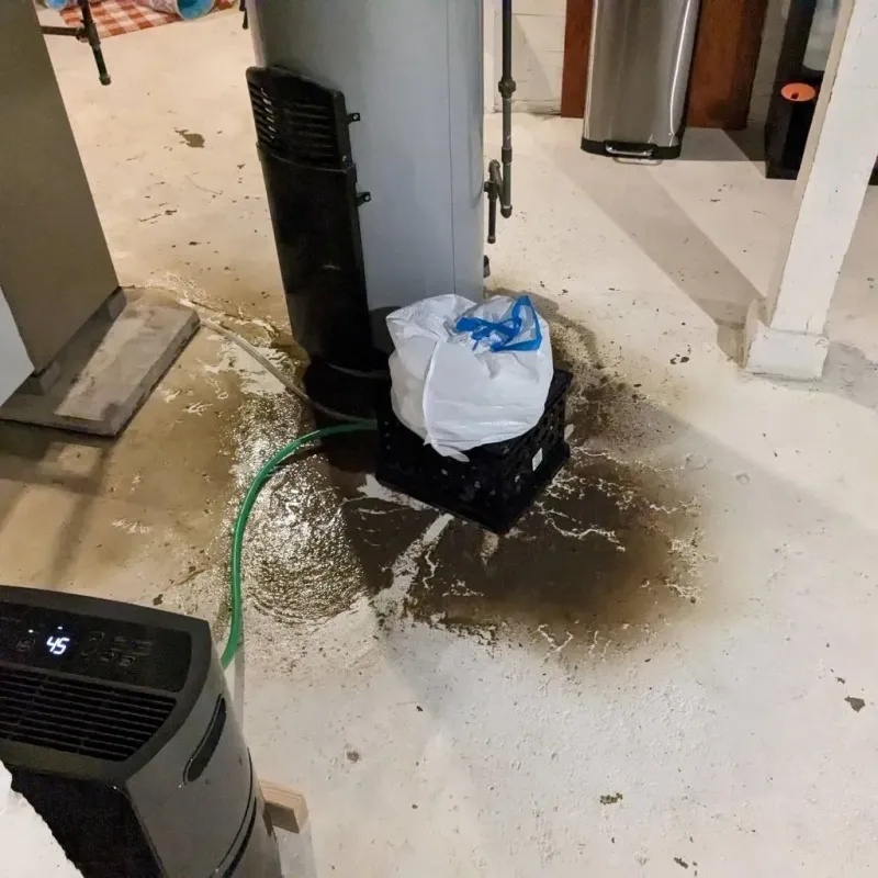 Sewage Backup Cleanup Service in Concord, AL